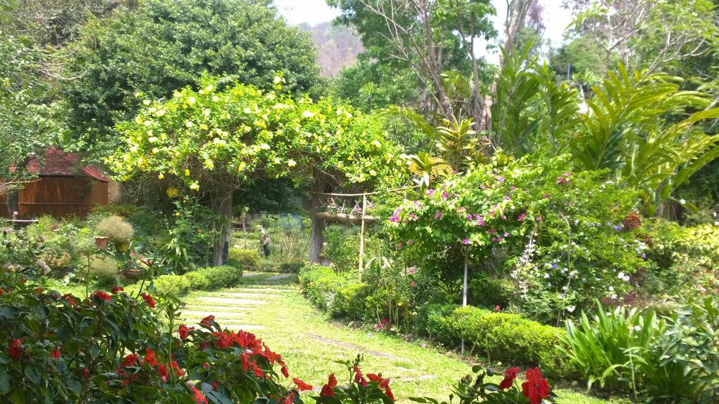 Bulunburi Resort Chiang Mai Bagian luar foto