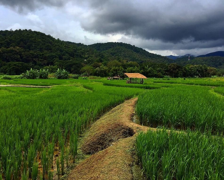 Bulunburi Resort Chiang Mai Bagian luar foto